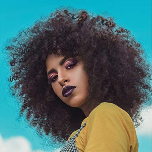 Afro Curly Hair Wig Synthetic Heat Resistant Unisex Wigs High Volume Black Cosplay Party Wigs Natural Fluffy Afro wig 60's and 70's Funky Afro Wig（mix black）