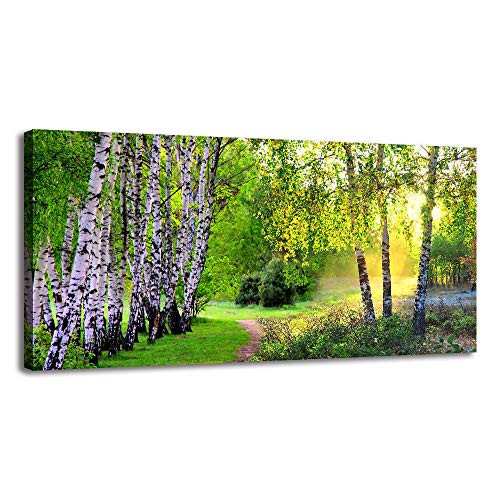 BYXART Canvas Wall Art Green Tree Forest Landscape Scenic Picture Prints Modern Birch