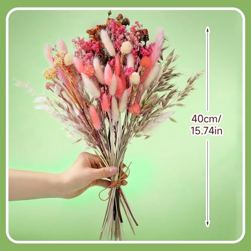 Set de flores secas naturales DIY Bulk Boho flores rosa miniatura 6