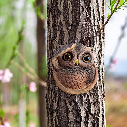 HUNTHAWK Owl Tree Hugger Decor Garden Peeker Yard Art Whimsical Tree Faces Outdoor Owl Tree Sculpture Decoration Polyresin Animal Tree Accessories Gift for Family Friends and Nature Lovers