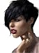 Diforbeauty Women Fashionable Short Straight with Long Oblique Bangs Wigs for Cosplay Party Daily Use (Black )