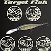 LUCKY CRAFT Lightning Staysee 90SP Freshwater Fishing Lures, Suspending Jerkbait with Long Bill, Fishing Gear for Bass, Smallmouth, Walleye, Pike, Tackle Box Accessories, 269 BE Gill #4