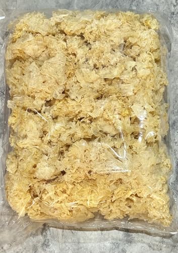 ÍPfՁ@؎1s@⎨@炰@Y@_@؃fU[gp@  V a V NHi