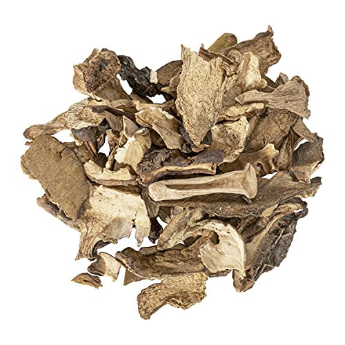 Champignons porcini premium AA 16 oz