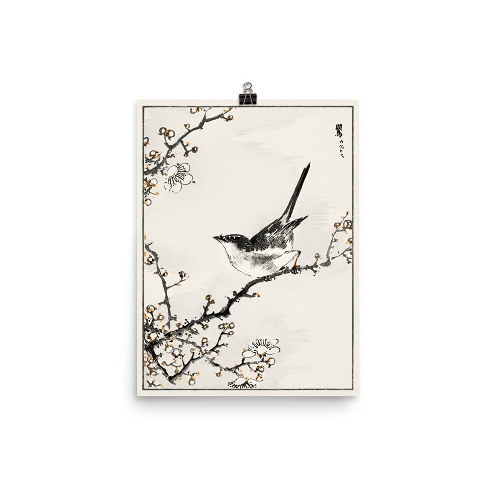 Póster botánico japonés antiguo para decorar un estudio de zoología o salón elegante