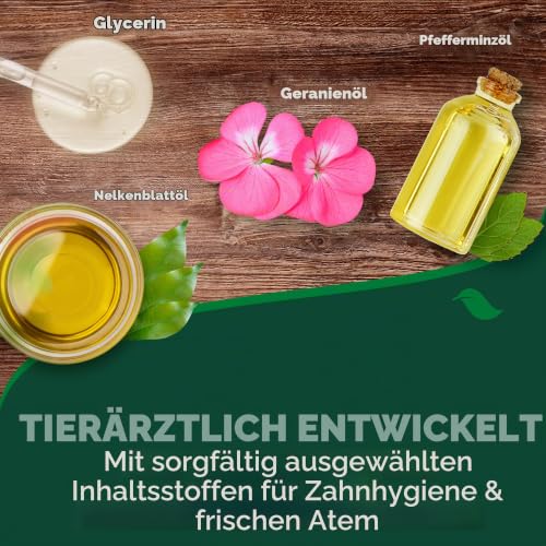 Vet's Best Atemerfrischer Wasserzusatz für Hunde - Minzgeschmack 500ml