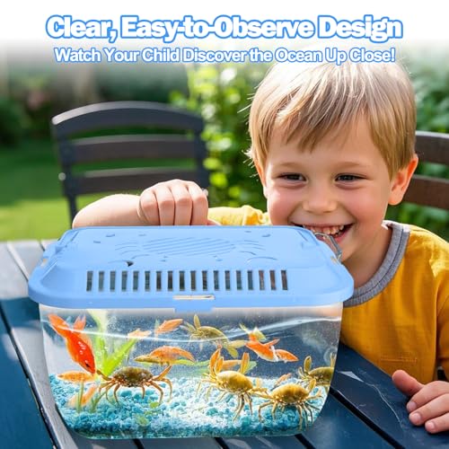 Palksky Aquário de praia Catch and Release, pacote com 4 peixes de plástico transparente com tampas