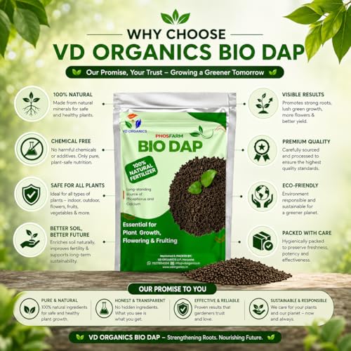 Image of Bio Dap Organic Fertilizer for Plants 2kg, Granules | Organic Plant Food for Faster Root Growth, Healthy Flowering & Fruiting | Indoor & Outdoor Plants, Home Garden & Vegetable Plants
