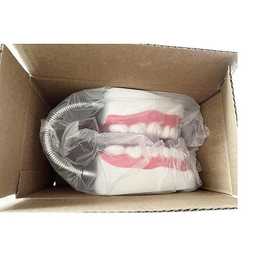 Miniatura 7 de Modelo Dental Standard Seis Veces Dentales Modelo de Enseñanza Odontológica Modelos de Magnificación Boca Completa Modelo de Dentura para Niños,