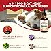 PetORiMMUNE Heart Support Drops for Dogs & Cats, Herbal Supplement Promotes Heart Health & Blood Circulation W/Hawthorn Berries Astragalus Ginkgo Biloba Leaf Garlic Extract. 2 oz