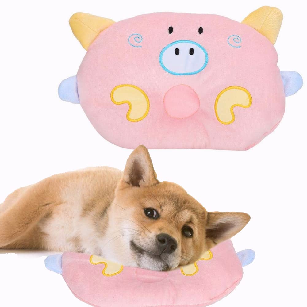 Can Dogs Sleep On Pillows