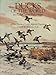 Ducks of the World in Full-Color Paintings (Pictorial Archive)