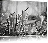 photos sur toile sont une merveilleuse façon de faire vos espaces de vie. Embellissez votre salon, chambre à coucher, crèche, cuisine, couloir, bureau ou au bureau et se rendre à l'ambiance de votre bien-être personnel. Et pour l'environnement des affaires, tels que les chambres d'hôtel ou entrepôts, nos images décoratives sont également idéales et ainsi impressionner vos clients.