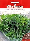 Mizuna Early Samen Asia Salat samenca 500 Korn schnellwüchsig & kältetolerant, Brassica oleracea Asiasalat Salatsamen Saatgut Garten Hochbeet Gewächshaus Dürr Samen
