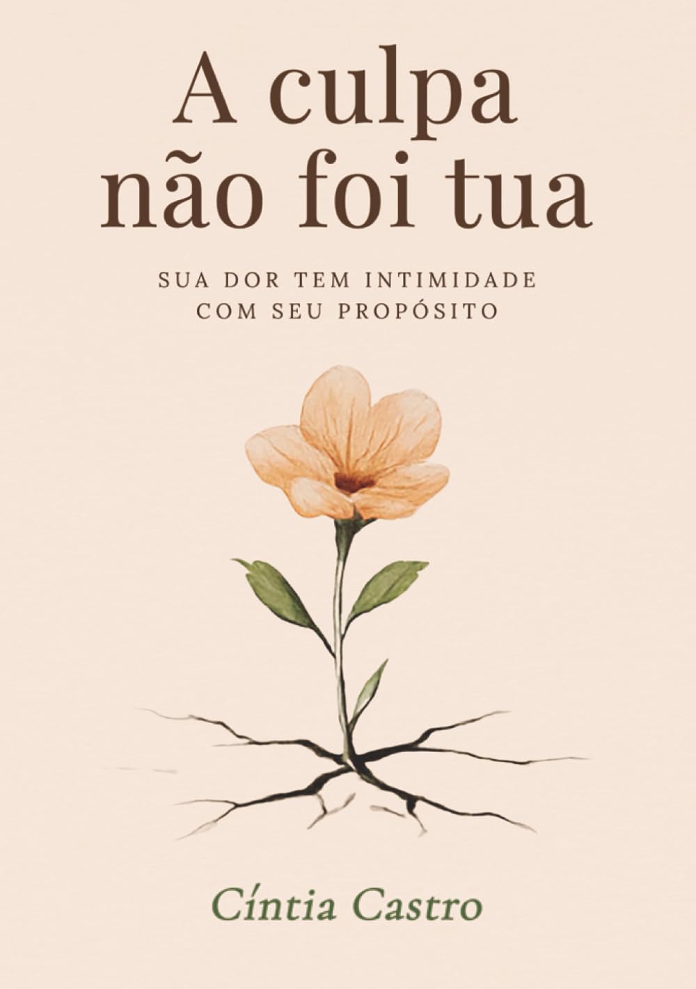 A culpa não foi tua: Sua dor tem intimidade com seu propósito