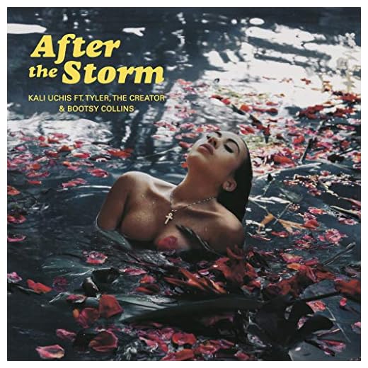Targets Store Kali Uchis After The Storm 12x18 inch Poster