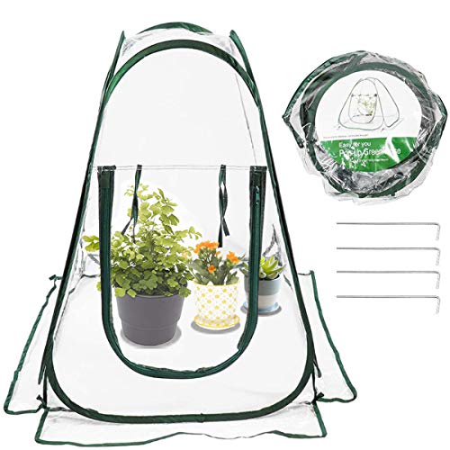 HH-LIFE 1 Stk Gartengewächshaus Pop Up Gewächshaus kleines überwinterungszelt für Pflanzen gewächshaus blumentopf gewächshaus Pflanzen Mini gewächshaus winterschutz für Pflanzen (70x70x80cm)