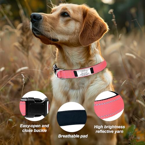 Hundehalsband Personalisiert mit Namen und Telefonnummer, Nylon Hundehalsband Leuchtend mit Gravur, Verstellbare Größen für Große Mittlere Hunde