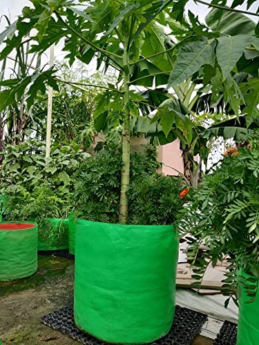 PlantaZee Grow Bags 15x15 inch, Terrace Gardening Vegetable Planting Pots, Plant Bags for Home Garden, (Pack of 3)