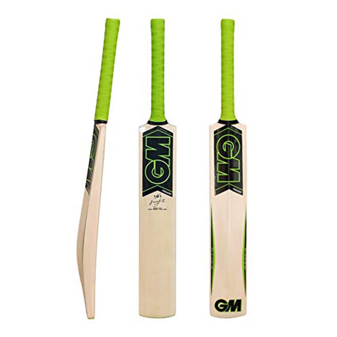 GM Paragon 101 Kashmir Willow Cricket Bat Short Handle Mens Amazon.in