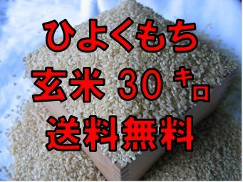 Amazon.co.jp: 令和7年産 佐賀県産 もち米 玄米30kg【ヒヨクモチ