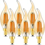 FACTORY SERVICE Alle Edison-Glühbirnen haben eine Garantie von zwei Jahren, um die Qualität des Produkts zu gewährleisten. Bitte kontaktieren Sie uns, wenn Sie irgendwelche Fragen haben.