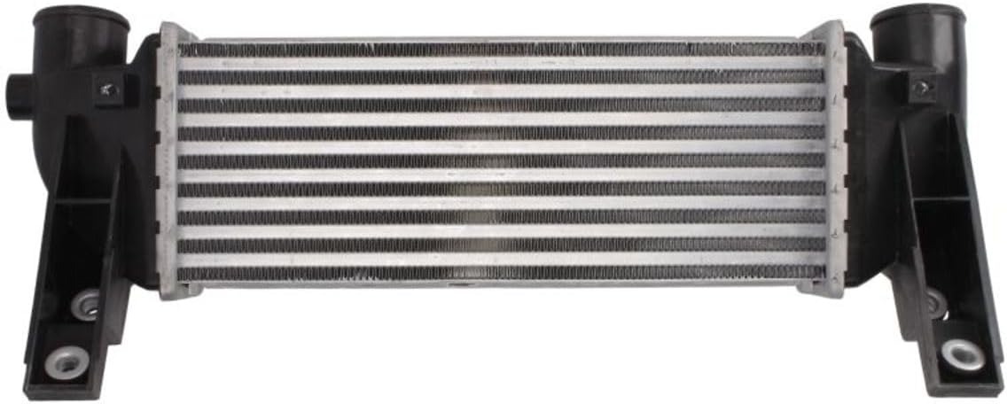 THERMOTEC DAG031TT Intercooler