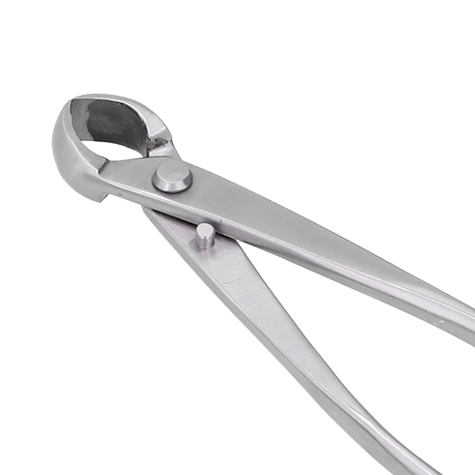 Set di strumenti professionali per bonsai Pomello concavo in acciaio inossidabile Cesoie da potatura Forbici Kit da giardinaggio per appassionati di bonsai Giardinieri Acci