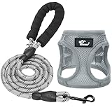 Breathable Air Mesh Dog Harness with Reflective Leash, Adjustable No Pull Step in Vest Harness for Small Dogs Puppies Cats, Grey, Small