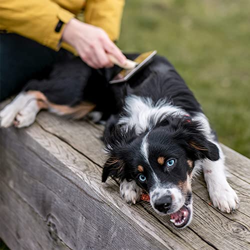 Nobby Nature Line Rupfbürste groß; 11,5 x 5,5 cm, Holzgriff
