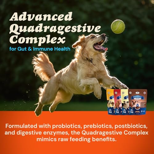 Image of CLEAR CONSCIENCE PET SuperGravy Four-Pack Dog Food Topper & Bone Broth Mix | 4 Flavor Variety Bundle | Just Add Water Gravy | Probiotic Support | Grain-Free | 56 Servings