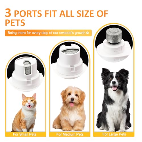 Texsens-2-in-1-Dog-Nail-Trimmer-and-Grinder-with-2-LED-Lights-Nail-Collection-Cap-Pet-Toenail-Clippers-for-Small-Medium-Large-DogsCats-Painless-Electric-Grooming-Tool-for-Perfect-Paws-White