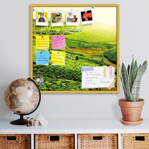 Image of ArtzFolio Tea Plantations, Munnar, Kerala | Bulletin Board Notice Pin Board | Vision Soft Board Combo with Thumb Push Pins & Sticky Notes | Golden Frame | 24 x 24 inch (61 x 61 cms)