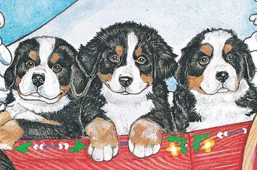 Bernese Mountain Dog Pups Blank Note Cards Boxed