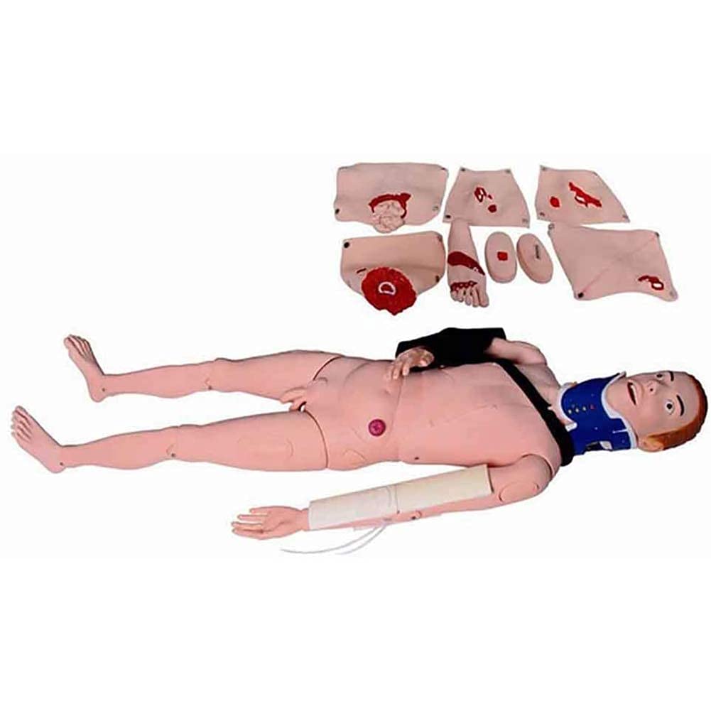 Simulateur de mannequin, mannequin de formation à la fixation des fractures des membres fermés, modèle anatomique, infirmière en traumatologie, premiers secours, modèle de mannequin d'enseignement d