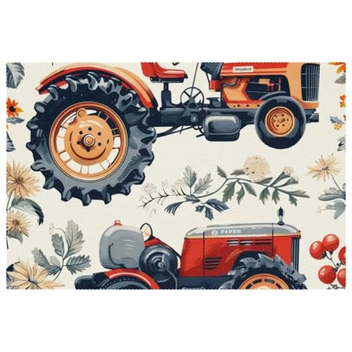 Set de table antidérapant résistant chaleur rectangulaire fleurs fruits rouges lot de 6