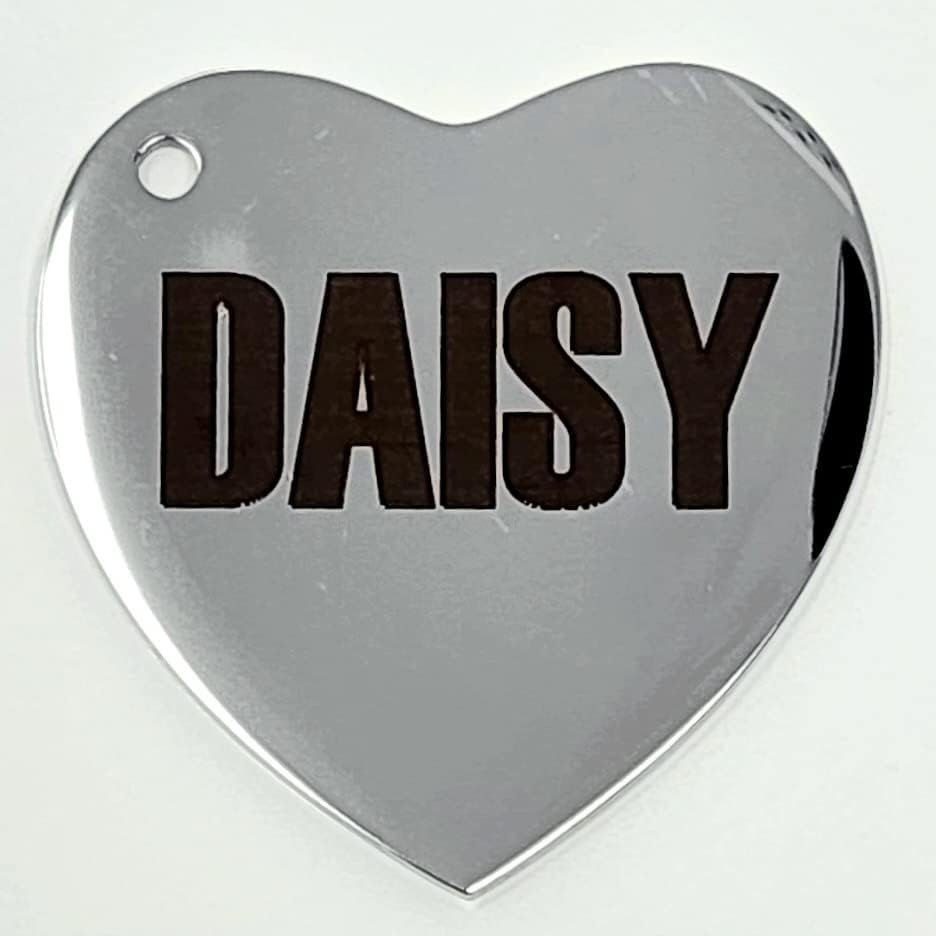 Miniatura 5 de Dr. Fremont's Etiquetas de identificación de acero inoxidable grabadas para mascotas personalizadas para collar de gato o perro, fuente audaz para