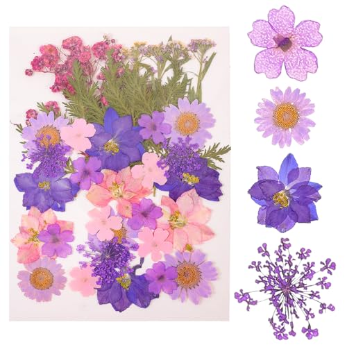 Mezcla de Flores Secas Artesanales 27 Piezas Kit DIY miniatura 1