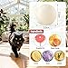 Peidicat Cat Repelelnt Ball Outdoor & Indoor Natural Deterrent White Balls Prevent Cats Scratch Furniture and Chew Long-Lasting Balls (12 Pack)