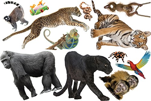 Set de Vinilos Decorativos de Animales de la Jungla miniatura 4