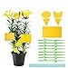 Herefun Pièges à Insectes, 42 Pièces Jaunes Sticky Papiers Pièges Anti-Insecte Double Face Pièges Anti-Insecte Papier Autocollants pour Insectes Volants, Pucerons, Moustiques, Aleurodes, Mouches