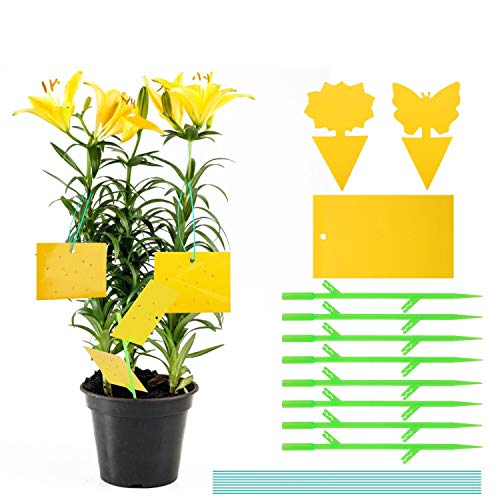 Preisvergleich Produktbild Colmanda Fliegenfallen, Klebrige Insektenfallen 2 in 1 Gelbtafeln Fliegenfänger Sticker Insektenfalle, 42 Gelbsticker + 8 Clip + 8 Lanyard für Gartenarbeit Pflanzenschutz Und Schädlingsbekämpfung