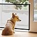 2 Stück Absperrgitter Hund Treppengitter Türgitter Hunde Türschutzgitter Treppenschutzgitter Ohne Bohren Hundegitter Wohnung Tür Hundezaun Treppenschutz Tierschutzgitter Hundeschutzgitter