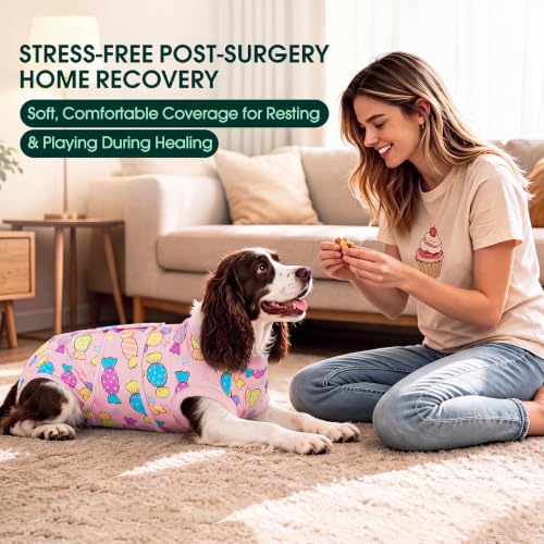 Image of Kuoser Dog Surgery Suit Female Spay, Dog Recovery Suit Male Neuter