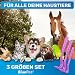 BluePet 3er Set Zeckenhaken für Hunde, Katze, Pferd & Mensch I Zeckenhebel als bewährter Zeckenentferner zur Zeckenzangen I Alternative zu Zeckenpinzette, Zeckendreher, Zeckenschutz & Zeckenmittel