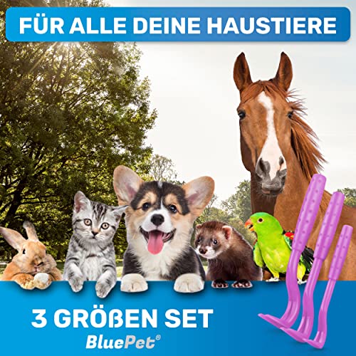 BluePet 3er Set Zeckenhaken für Hunde, Katze, Pferd & Mensch I Zeckenhebel als bewährter Zeckenentferner zur Zeckenzangen I Alternative zu Zeckenpinzette, Zeckendreher, Zeckenschutz & Zeckenmittel