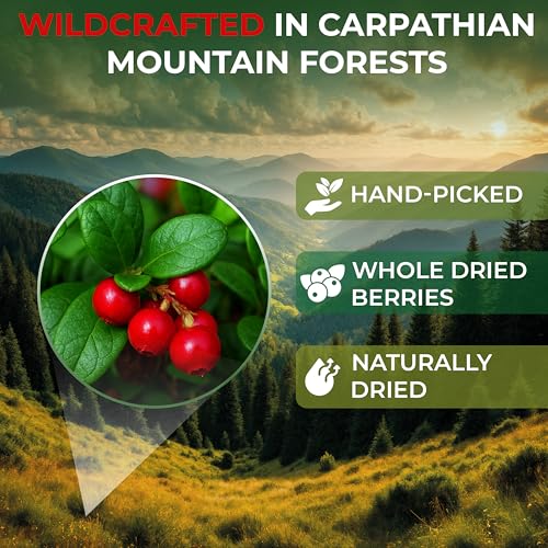 Image of 4 oz. Cowberry Lingonberry Whole Berries Tea (Vaccinium vitis-idaea L) - 113g Dried Lingonberry Tea Arandano Rojo Entero Seco