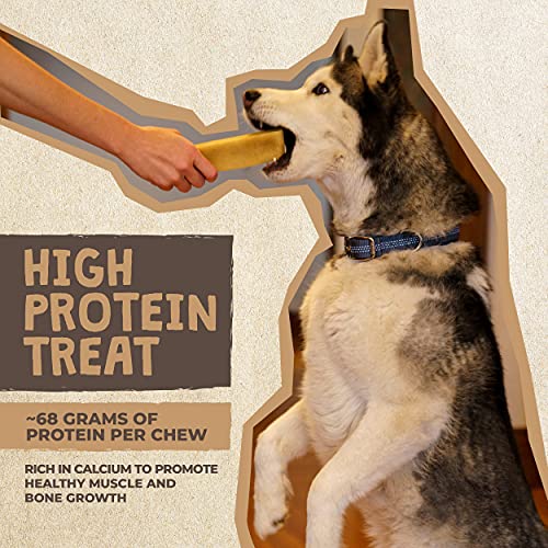 Mighty Paw Yak Cheese Dog Chews | 4 Large Sticks. All-Natural Chews for Dogs. Long Lasting Yak Milk Dog Chews for… - Image 6