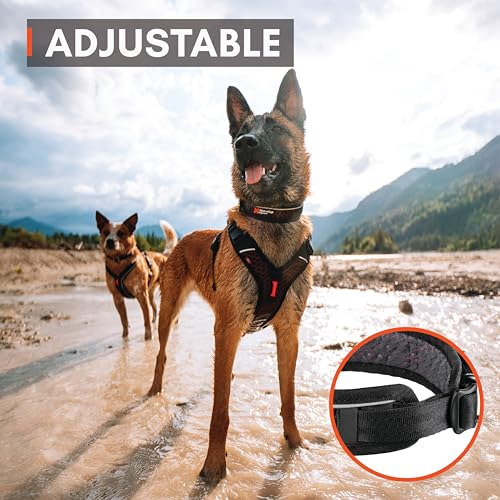 Non-stop dogwear Rock Collar Adjustable |3446| Verstellbares Funktionshalsband, Größe:M