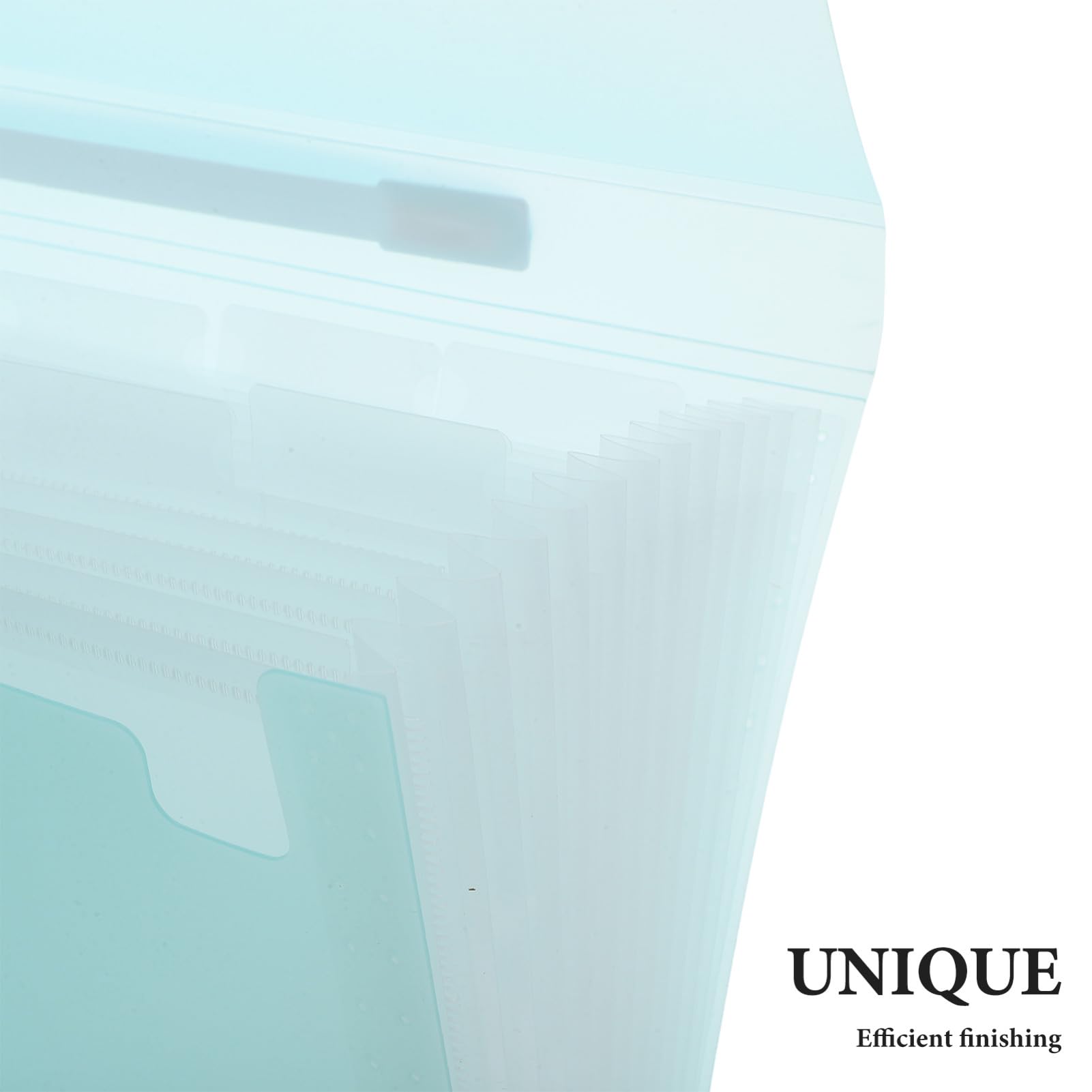 2 Pezzi Cartella Portadocumenti In Plastica Per Organi Portadocumenti Organizzatore Per Documenti Organizzatore A Fisarmonica Espandibile Borsa Blu